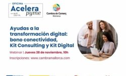 Ayudas a la transformación digital: bono conectividad, Kit Consulting y Kit Digital